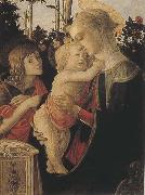 Sandro Botticelli Madonna of the Rose Garden or Madonna and Child with St John the Baptist France oil painting artist